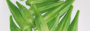 Okra Fingers