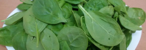 Spinach