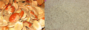 How to Grind Ogbono Seeds