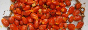 Palm Fruits and Palm Oil