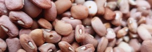 how to preserve nigerian beans