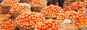 Follow Me to Mile 12 Market Lagos, Nigeria